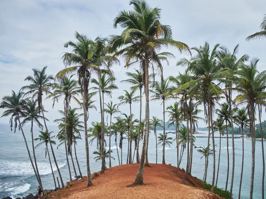 Mirissa